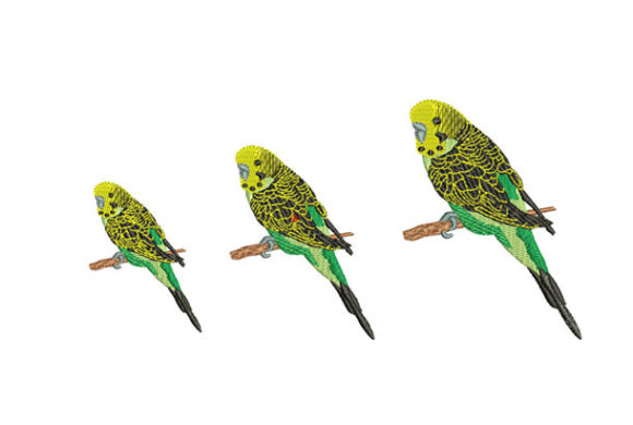 Parakeet Bird Embroidery Review